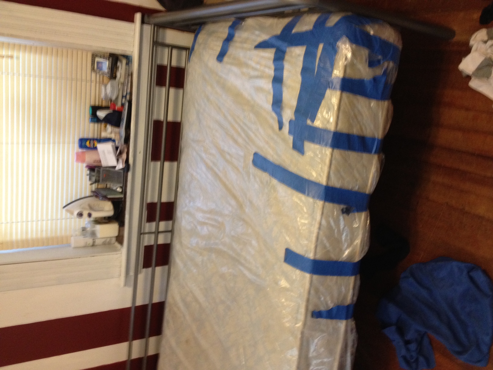 mattress cover to keep bed bugs out