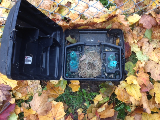 Mouse nest