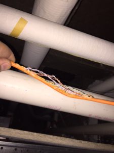 Rodents chewed on wire