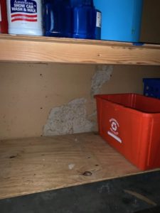Termite damaged drywall