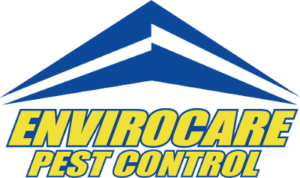 Best pest control service in CT