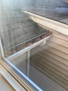 Clogged gutters will attract pests