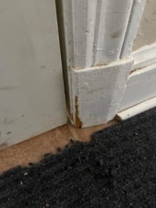Chew holes from rats