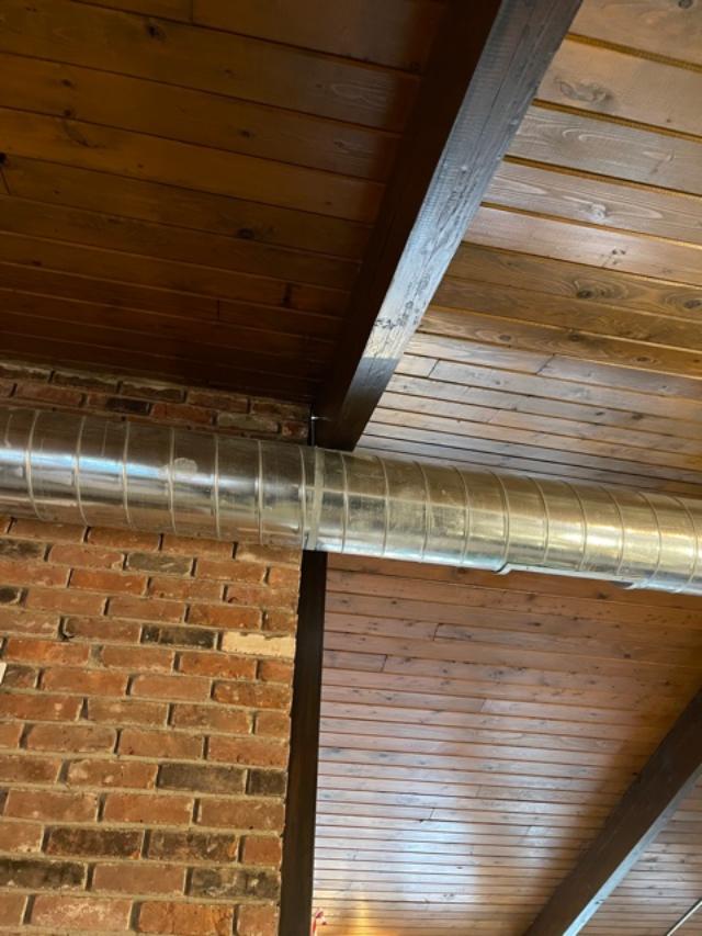 Ants in the ceiling? Not an ordinary issue Envirocare Pest Control